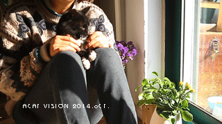 b3f29a8a1698e6e245139bdd8922106d.gif