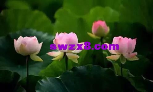 8bc8a26aeb53ce42c4c738c42d511db1.jpg