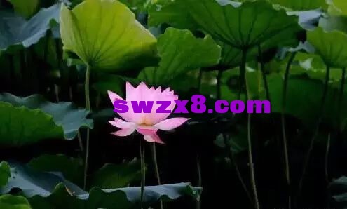 a34aea0cf8eb663c93dfb20c3dd62054.jpg