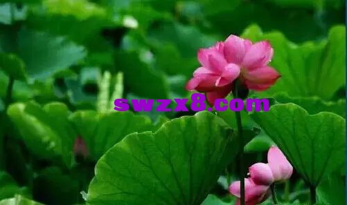 c97791dbde21310f6dc04a7555ae47ce.jpg