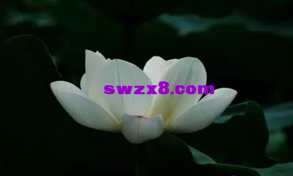 fafca1a99babff99dbe45fcfad7ca057.jpg