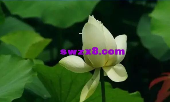 4d24e337dd5fa15a6bf1ef5bafc49a2f.jpg