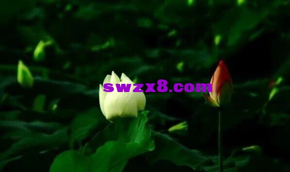 975c13cd56b977e135323903bbb39415.jpg