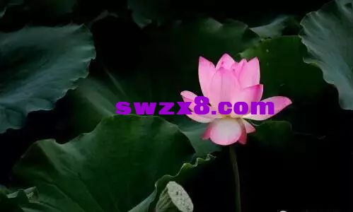 a34cfe56a89a52069cc070c11e9f89d0.jpg