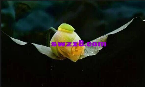 1421e521447e16995d170cfe84d7a6c0.jpg