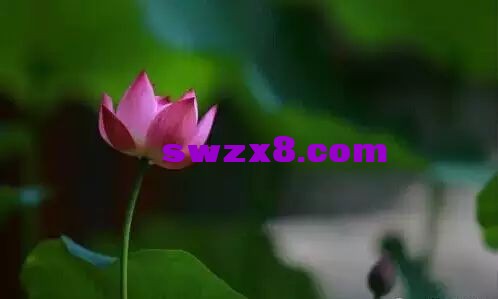 8a10414d418d5d44833bffc4a21dbf43.jpg
