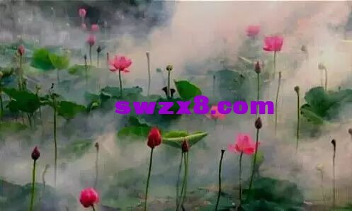 06be6bdf965faea87f8479f08ff2d11a.jpg