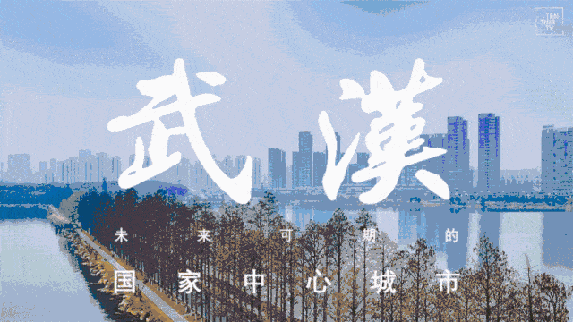 80e9cb9e8c7681625415482f59426e28.gif