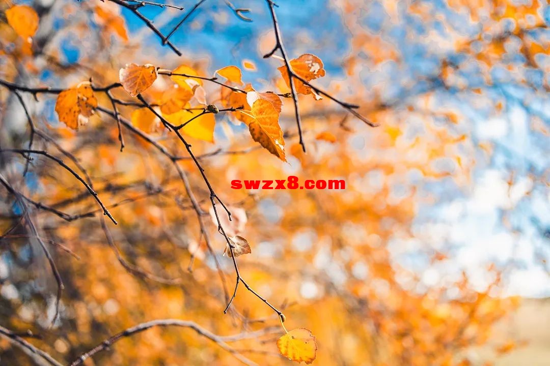 a6953a1806b637b803bfb1f5f4352a46.jpg